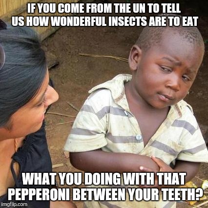 Third World Skeptical Kid Meme | IF YOU COME FROM THE UN TO TELL US HOW WONDERFUL INSECTS ARE TO EAT; WHAT YOU DOING WITH THAT PEPPERONI BETWEEN YOUR TEETH? | image tagged in memes,third world skeptical kid | made w/ Imgflip meme maker