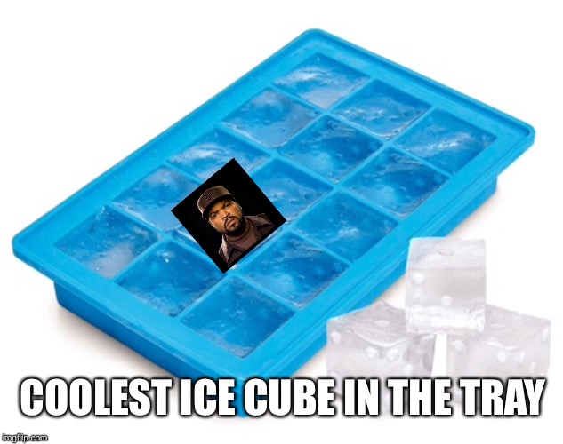 Of Course, I'd get THIS T-shirt... | COOLEST ICE CUBE
IN THE TRAY | image tagged in ice cube,cool,not racist,cold | made w/ Imgflip meme maker