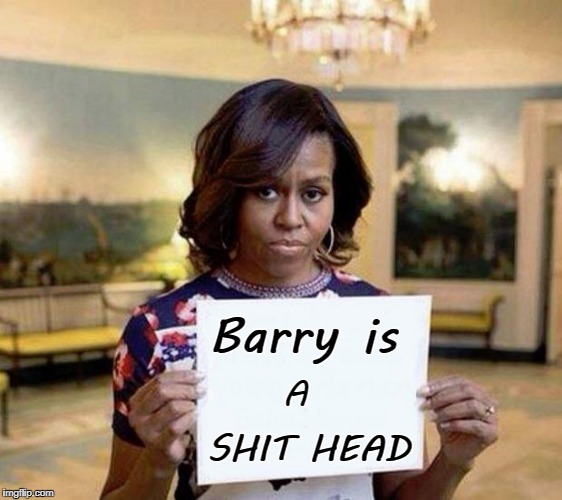 Michelle Obama blank sheet | Barry is; A; SHIT HEAD | image tagged in michelle obama blank sheet | made w/ Imgflip meme maker