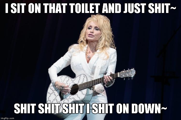 The shit song | I SIT ON THAT TOILET AND JUST SHIT~; SHIT SHIT SHIT I SHIT ON DOWN~ | image tagged in dolly parton y su flying guitar,shit me away like a bird on a wire,memes | made w/ Imgflip meme maker