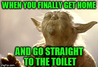 Yoda askind the force | WHEN YOU FINALLY GET HOME; AND GO STRAIGHT TO THE TOILET | image tagged in yoda askind the force | made w/ Imgflip meme maker