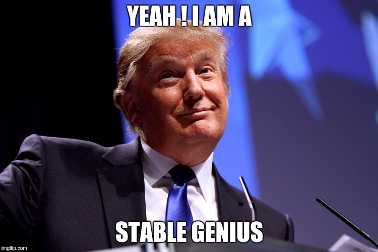 Donald Trump No2 | YEAH ! I AM A; STABLE GENIUS | image tagged in donald trump no2 | made w/ Imgflip meme maker