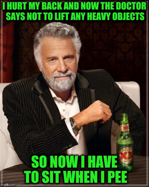 The Most Interesting Man In The World | I HURT MY BACK AND NOW THE DOCTOR SAYS NOT TO LIFT ANY HEAVY OBJECTS; SO NOW I HAVE TO SIT WHEN I PEE | image tagged in memes,the most interesting man in the world | made w/ Imgflip meme maker