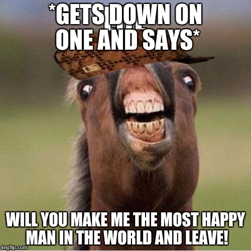 LOL | *GETS DOWN ON ONE AND SAYS*; WILL YOU MAKE ME THE MOST HAPPY MAN IN THE WORLD AND LEAVE! | image tagged in lol,break up,trololol | made w/ Imgflip meme maker