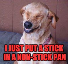 Because, you know, I can! | I JUST PUT A STICK IN A NON-STICK PAN | image tagged in funny dog,puns | made w/ Imgflip meme maker