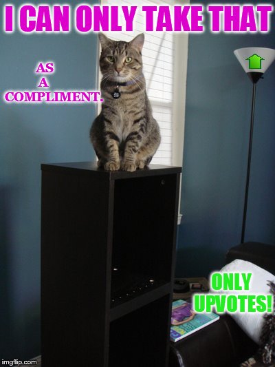 I CAN ONLY TAKE THAT ONLY UPVOTES! AS      A        COMPLIMENT. | made w/ Imgflip meme maker