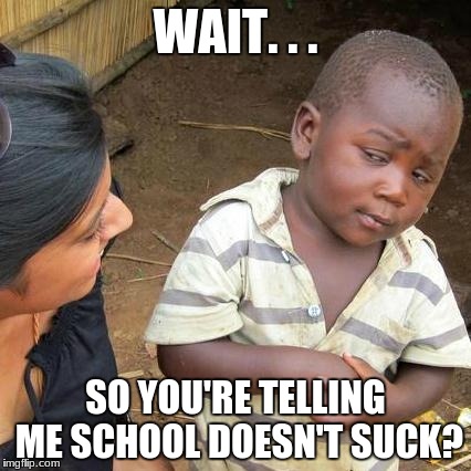 Third World Skeptical Kid | WAIT. . . SO YOU'RE TELLING ME SCHOOL DOESN'T SUCK? | image tagged in memes,third world skeptical kid | made w/ Imgflip meme maker