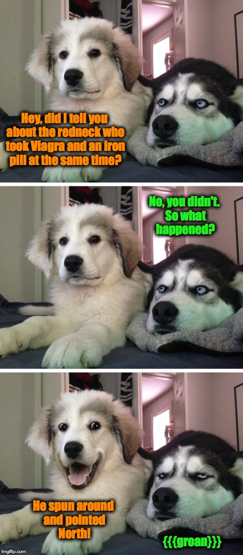 Bad Redneck Joke Between Friends | Hey, did I tell you about the redneck who took Viagra and an iron pill at the same time? No, you didn't. So what happened? He spun around and pointed North! {{{groan}}} | image tagged in bad pun dogs | made w/ Imgflip meme maker