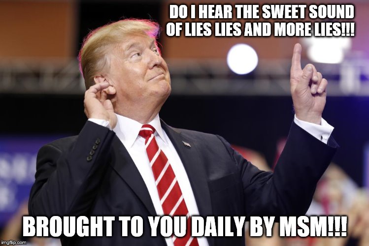 Fake news | DO I HEAR THE SWEET SOUND OF LIES LIES AND MORE LIES!!! BROUGHT TO YOU DAILY BY MSM!!! | image tagged in fake news | made w/ Imgflip meme maker