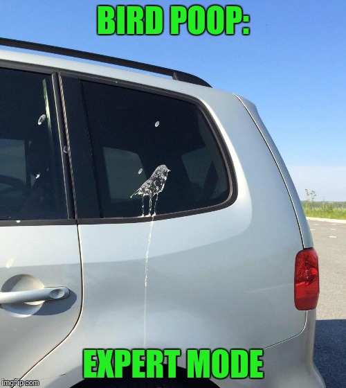 If a bird this every time, I wouldn't be too mad | BIRD POOP:; EXPERT MODE | image tagged in expert mode,pipe_picasso,bird,car | made w/ Imgflip meme maker