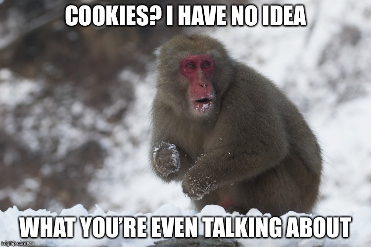 Convincing | COOKIES? I HAVE NO IDEA; WHAT YOU’RE EVEN TALKING ABOUT | image tagged in monkey,cookie,busted | made w/ Imgflip meme maker