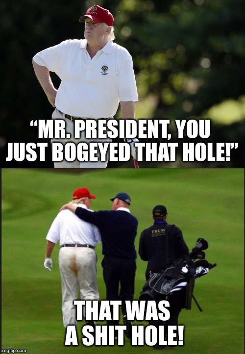 “MR. PRESIDENT, YOU JUST BOGEYED THAT HOLE!”; THAT WAS A SHIT HOLE! | image tagged in memes,donald trump,shithole | made w/ Imgflip meme maker