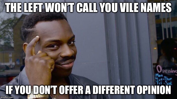 Roll Safe Think About It Meme | THE LEFT WON’T CALL YOU VILE NAMES IF YOU DON’T OFFER A DIFFERENT OPINION | image tagged in memes,roll safe think about it | made w/ Imgflip meme maker