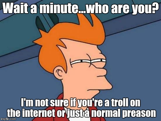 Wait a minute who are you? | Wait a minute...who are you? I'm not sure if you're a troll on the internet or just a normal preason | image tagged in memes,futurama fry,2018,wait a minute,meme,not sure if | made w/ Imgflip meme maker