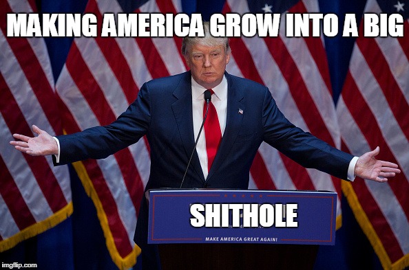Donald Trump | MAKING AMERICA GROW INTO A BIG; SHITHOLE | image tagged in donald trump | made w/ Imgflip meme maker