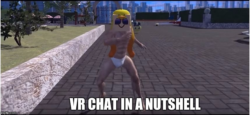 VR Chat Nutshell image tagged in vr,memes,funny memes,funny meme,2018 made ...
