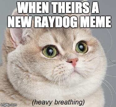 Heavy Breathing Cat | WHEN THEIRS A NEW RAYDOG MEME | image tagged in memes,heavy breathing cat | made w/ Imgflip meme maker