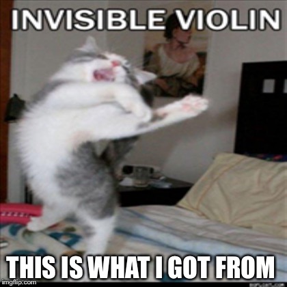 Invisible Violin | THIS IS WHAT I GOT FROM | image tagged in violin | made w/ Imgflip meme maker