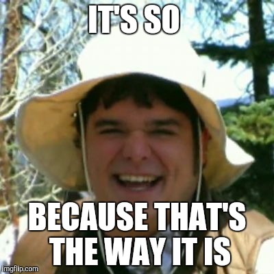 neature | IT'S SO; BECAUSE THAT'S THE WAY IT IS | image tagged in neature | made w/ Imgflip meme maker