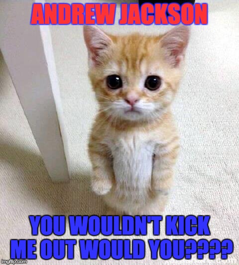 Cute Cat | ANDREW JACKSON; YOU WOULDN'T KICK ME OUT WOULD YOU???? | image tagged in memes,cute cat | made w/ Imgflip meme maker