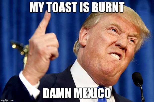 Donald Trump | MY TOAST IS BURNT; DAMN MEXICO | image tagged in donald trump | made w/ Imgflip meme maker