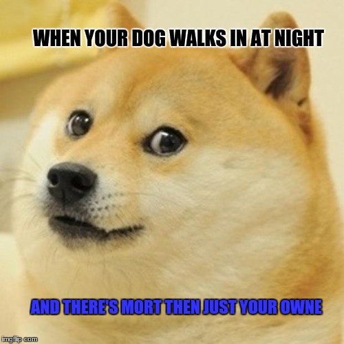 Doge | WHEN YOUR DOG WALKS IN AT NIGHT; AND THERE'S MORT THEN JUST YOUR OWNE | image tagged in memes,doge | made w/ Imgflip meme maker