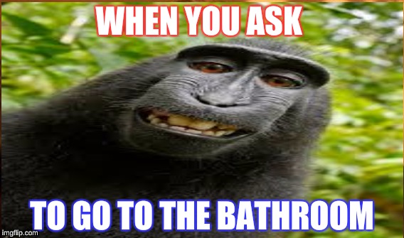 BATHROOM MONKEY | WHEN YOU ASK; TO GO TO THE BATHROOM | image tagged in monkey selfie | made w/ Imgflip meme maker