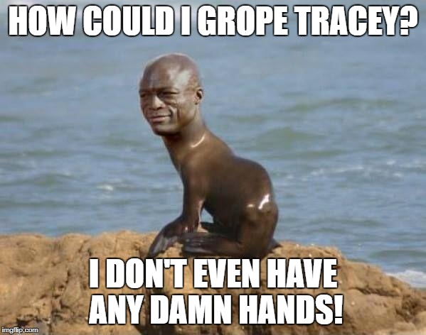Seal | HOW COULD I GROPE TRACEY? I DON'T EVEN HAVE ANY DAMN HANDS! | image tagged in grope,groping,seal | made w/ Imgflip meme maker