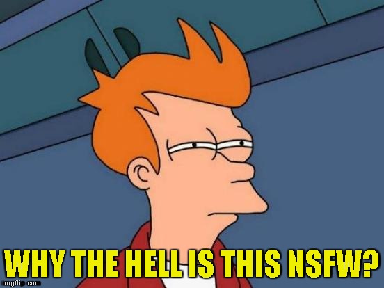 Futurama Fry Meme | WHY THE HELL IS THIS NSFW? | image tagged in memes,futurama fry | made w/ Imgflip meme maker