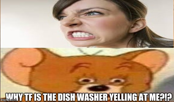 Dishes | WHY TF IS THE DISH WASHER YELLING AT ME?!? | image tagged in dishwasher,yelling | made w/ Imgflip meme maker