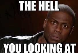 Kevin Hart | THE HELL; YOU LOOKING AT | image tagged in memes,kevin hart the hell | made w/ Imgflip meme maker