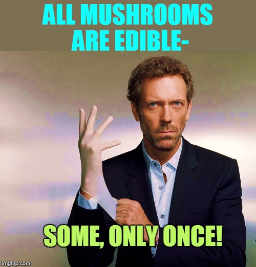 that's life! | ALL MUSHROOMS ARE EDIBLE-; SOME, ONLY ONCE! | image tagged in funny | made w/ Imgflip meme maker