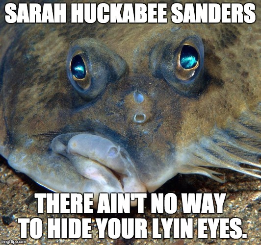 SARAH HUCKABEE SANDERS; THERE AIN'T NO WAY TO HIDE YOUR LYIN EYES. | image tagged in darin | made w/ Imgflip meme maker