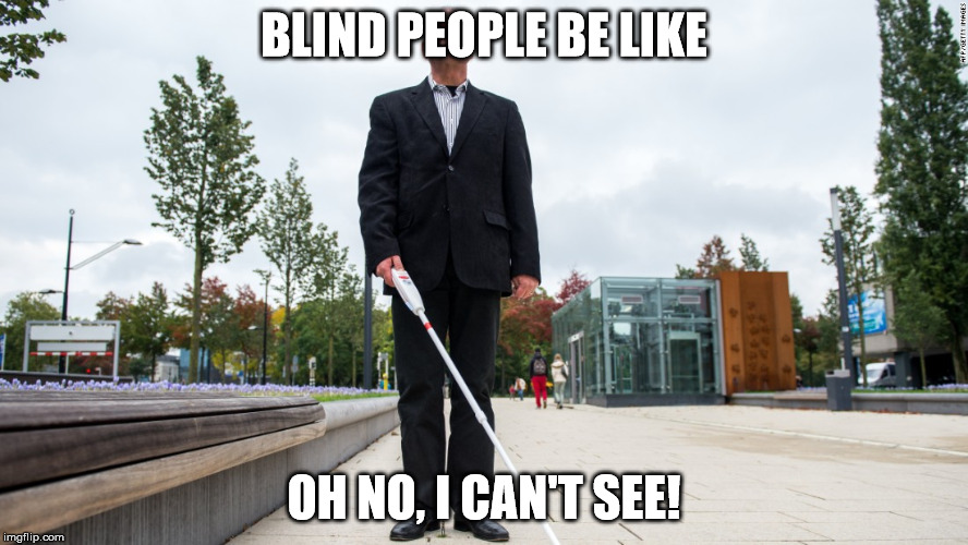 Blind people be like r/antimeme