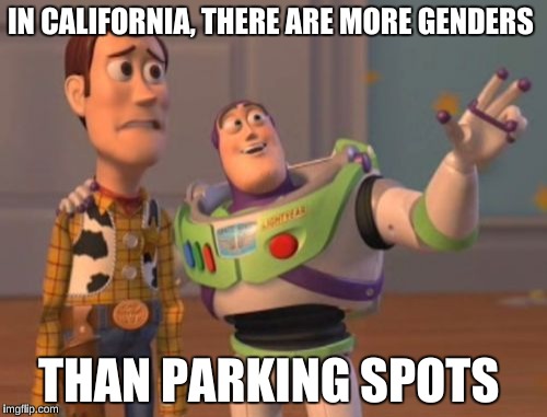 X, X Everywhere Meme | IN CALIFORNIA, THERE ARE MORE GENDERS; THAN PARKING SPOTS | image tagged in memes,x x everywhere,los angeles | made w/ Imgflip meme maker