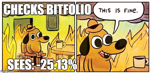 This Is Fine Meme | CHECKS BITFOLIO; SEES: -25.13% | image tagged in this is fine dog | made w/ Imgflip meme maker