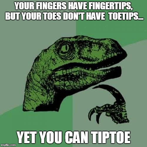 Philosoraptor | YOUR FINGERS HAVE FINGERTIPS, BUT YOUR TOES DON'T HAVE  TOETIPS... YET YOU CAN TIPTOE | image tagged in memes,philosoraptor | made w/ Imgflip meme maker