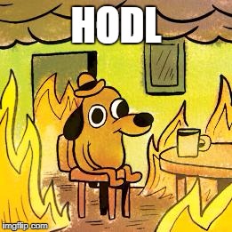 Dog in burning house | HODL | image tagged in dog in burning house | made w/ Imgflip meme maker