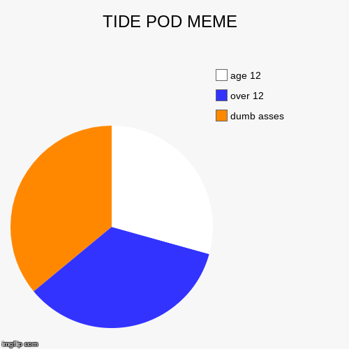making memes in class  | TIDE POD MEME  | dumb asses , over 12, age 12 | image tagged in funny,pie charts | made w/ Imgflip chart maker