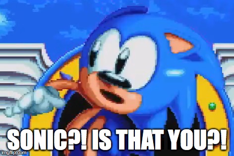 SONIC?! IS THAT YOU?! | image tagged in sonic the hedgehog,sonic mania,derp sonic,sonic meme | made w/ Imgflip meme maker