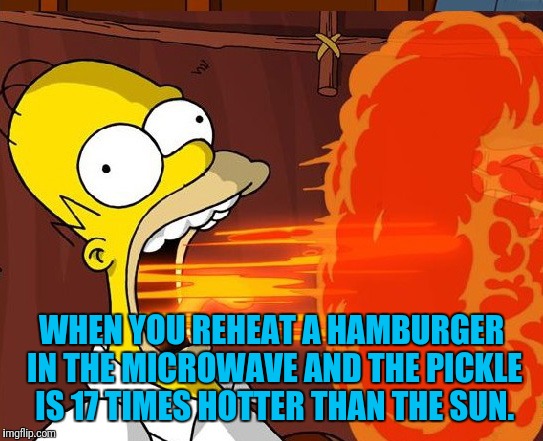 Seriously, How Does This Happen? | WHEN YOU REHEAT A HAMBURGER IN THE MICROWAVE AND THE PICKLE IS 17 TIMES HOTTER THAN THE SUN. | image tagged in hamburger,pickle,burning,homer simpson,hot | made w/ Imgflip meme maker