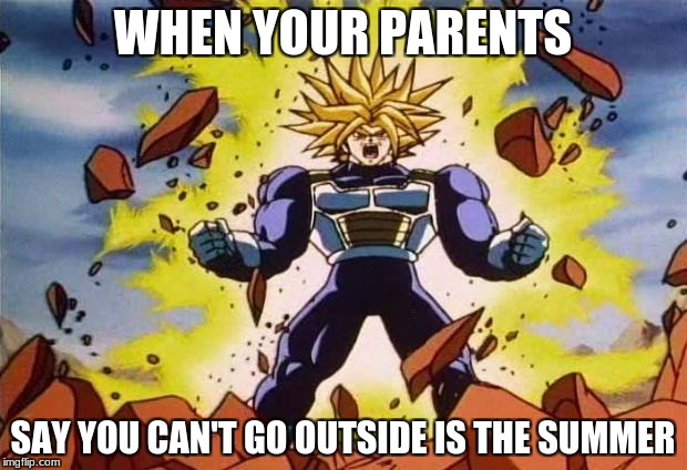 Dragon ball z | WHEN YOUR PARENTS; SAY YOU CAN'T GO OUTSIDE IS THE SUMMER | image tagged in dragon ball z | made w/ Imgflip meme maker