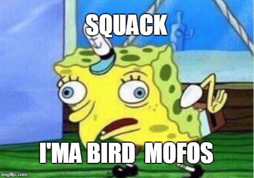 Mocking Spongebob Meme | SQUACK; I'MA BIRD  MOFOS | image tagged in memes,mocking spongebob | made w/ Imgflip meme maker