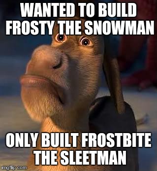 sad donkey | WANTED TO BUILD FROSTY THE SNOWMAN; ONLY BUILT FROSTBITE THE SLEETMAN | image tagged in sad donkey | made w/ Imgflip meme maker