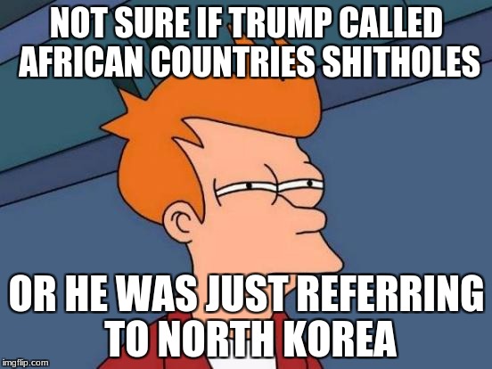Futurama Fry | NOT SURE IF TRUMP CALLED AFRICAN COUNTRIES SHITHOLES; OR HE WAS JUST REFERRING TO NORTH KOREA | image tagged in memes,futurama fry | made w/ Imgflip meme maker