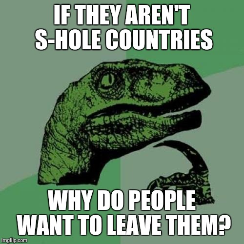 Philosoraptor | IF THEY AREN'T S-HOLE COUNTRIES; WHY DO PEOPLE WANT TO LEAVE THEM? | image tagged in memes,philosoraptor | made w/ Imgflip meme maker