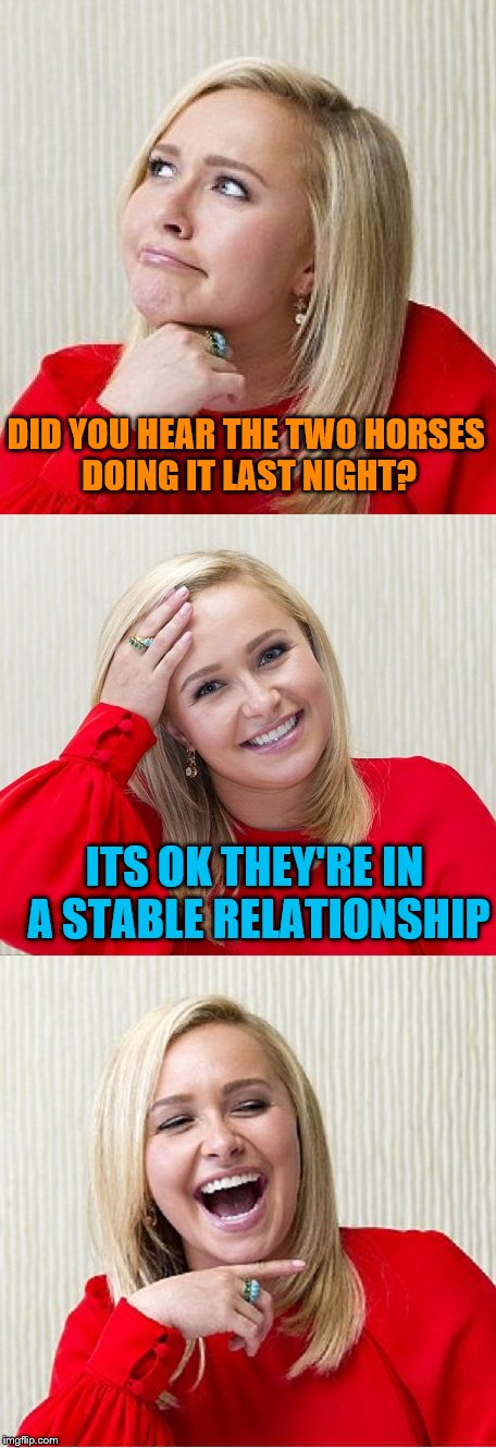 A tribute to my friend TammyFaye | DID YOU HEAR THE TWO HORSES DOING IT LAST NIGHT? ITS OK THEY'RE IN A STABLE RELATIONSHIP | image tagged in bad pun hayden 2,tammyfaye | made w/ Imgflip meme maker