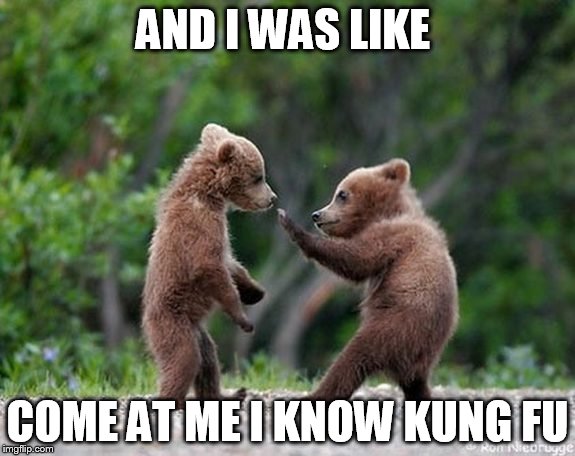 self defence bear | AND I WAS LIKE; COME AT ME I KNOW KUNG FU | image tagged in self defence bear | made w/ Imgflip meme maker