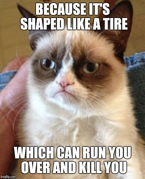 Grumpy Cat Meme | BECAUSE IT'S SHAPED LIKE A TIRE WHICH CAN RUN YOU OVER AND KILL YOU | image tagged in memes,grumpy cat | made w/ Imgflip meme maker