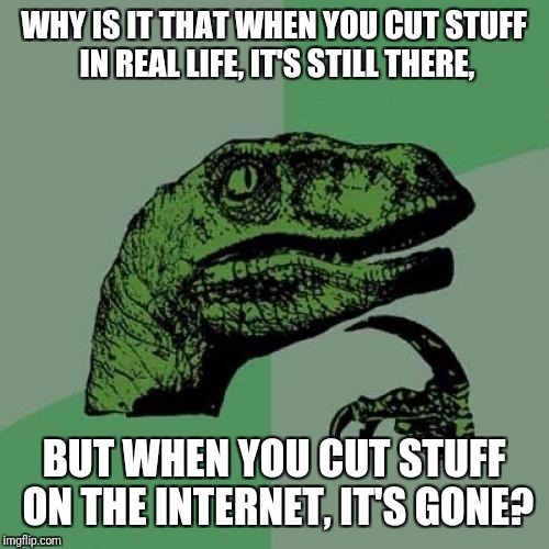 Microsoft: STAY RIGHT WHERE YOU ARE!!! | WHY IS IT THAT WHEN YOU CUT STUFF IN REAL LIFE, IT'S STILL THERE, BUT WHEN YOU CUT STUFF ON THE INTERNET, IT'S GONE? | image tagged in memes,philosoraptor | made w/ Imgflip meme maker